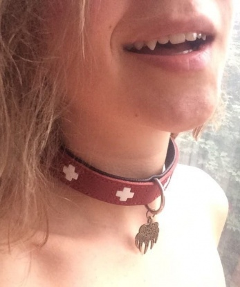 Анкета проститутки Евочка - город Красное Село, 26 лет, №1924